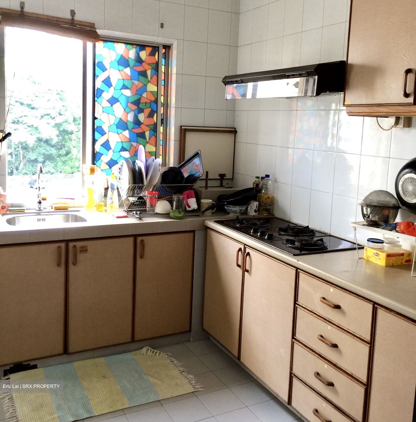 Cavenagh Gardens (D9), Apartment #561839151